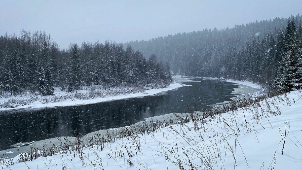     Они поднимали верхний слой грунта с берега и дна реки Нижняя Цыпа в Баунтовском эвенкийском районе.