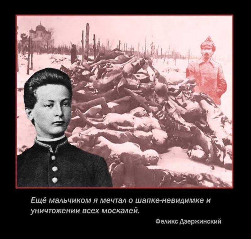 https://avatars.dzeninfra.ru/get-zen_doc/4913353/pub_63cb89d1ef8ec52eb1bdd43b_63cb9a6b7775357d863fd045/scale_1200