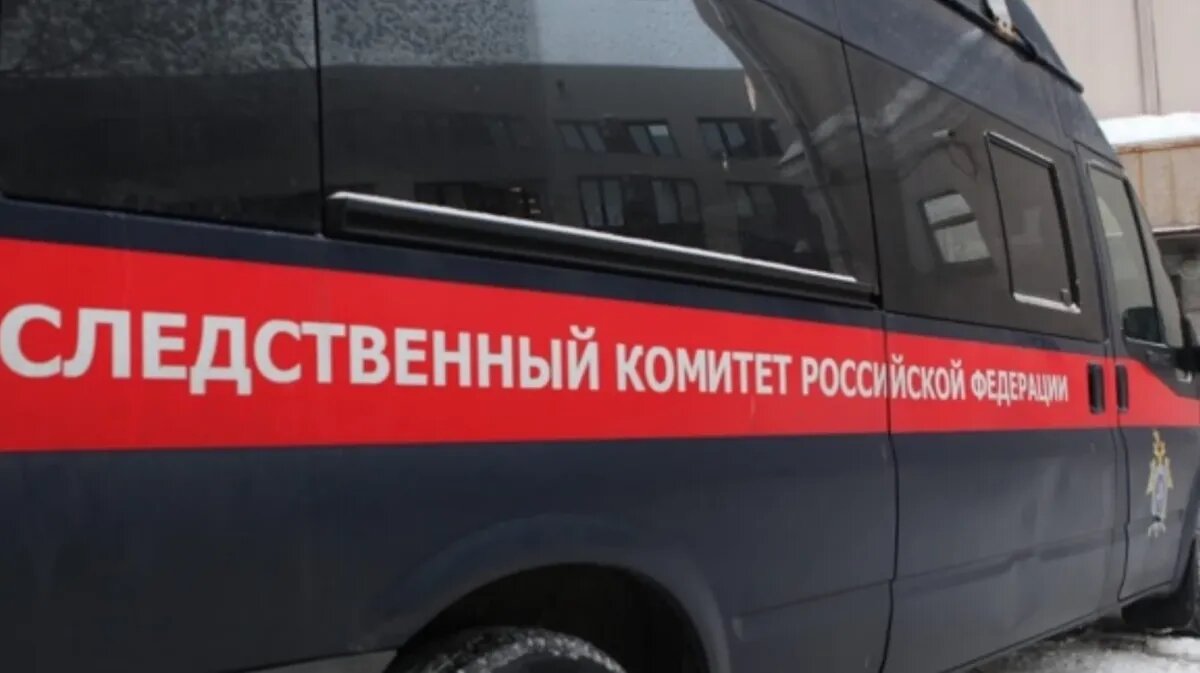 Фото: СУ СК России по Ленинградской области / ВКонтакте