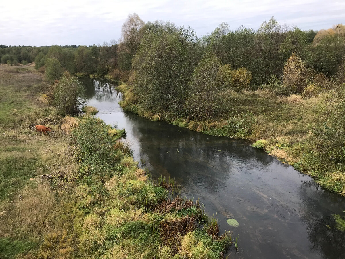 Сивинь (река). Река Сивинь описание. Река Сивинь в Мордовии описание. Сивинь Краснослабодский.