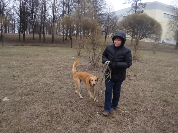Эту даму знаю очень давно.. Но совершенно не  знаю, как ее зовут.. Собака - Мики, Дочка часто гуляет - Рита.. А вот ее  не знаю..  Но этот гочак уже  старый.. И скоро связь  прервется..