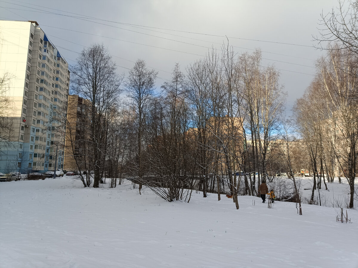 Голубое небо над Оккервилем. 