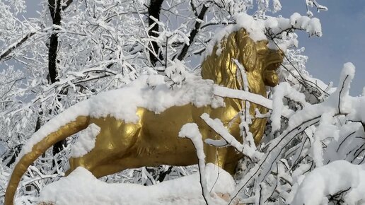 Железноводск февраль