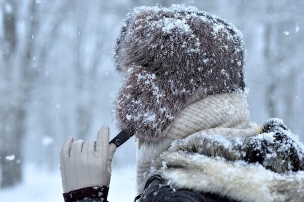    Фото: pixabay.com