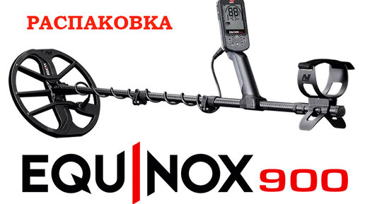 Minelab equinox 900