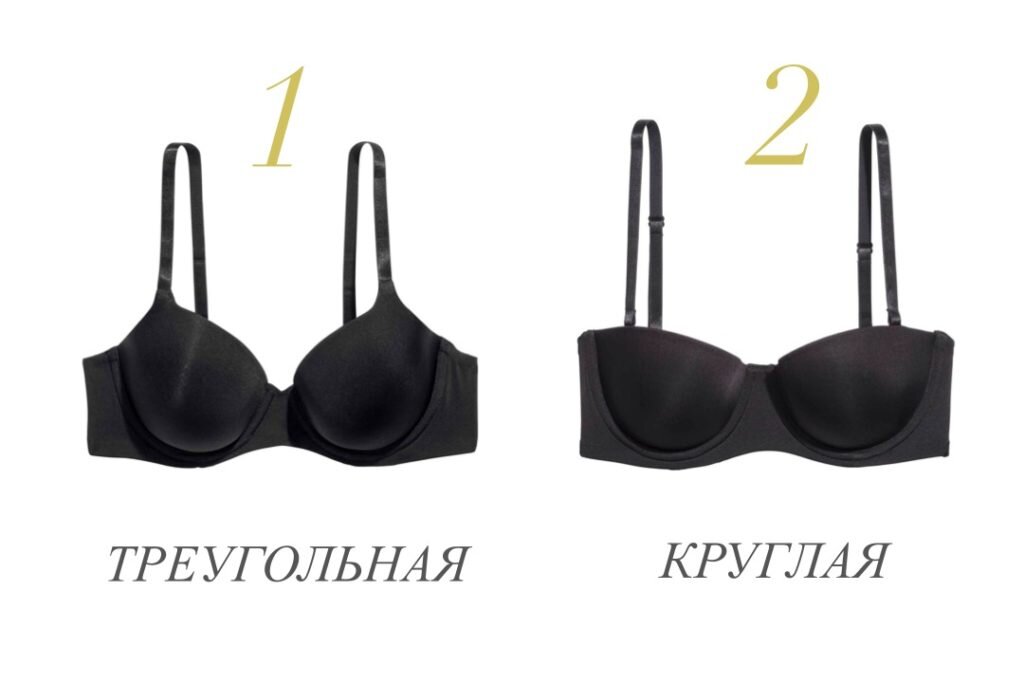 Форма чашечки бюстгальтера