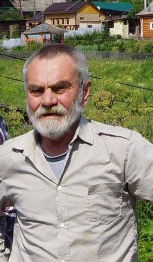 Добровольский Виктор. Собрание картин Евгения Ройзмана