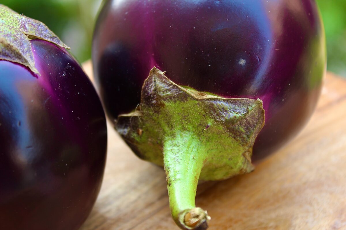 El tomate es una fruta o una verdura