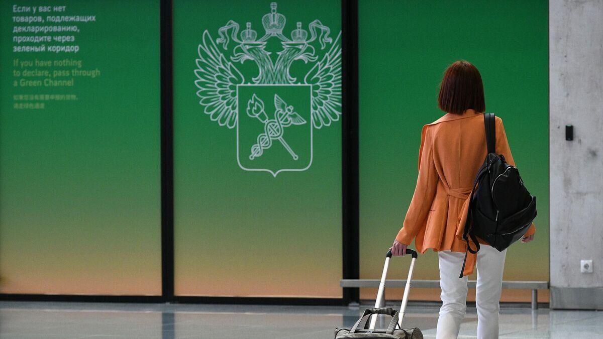    Пассажир в Терминале C московского аэропорта "Шереметьево"© РИА Новости / Максим Блинов