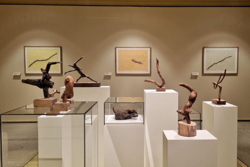 Второй зал выставки «Ответвление»