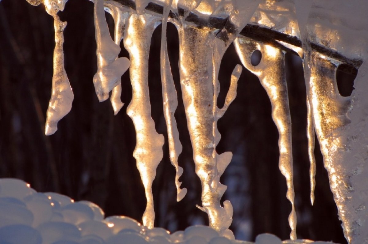    В праздник погода порадует теплом до +10