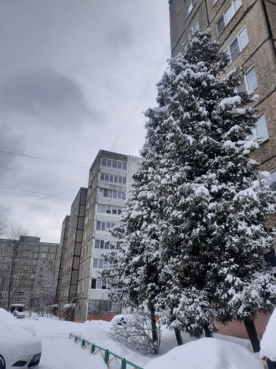 Все снова замело