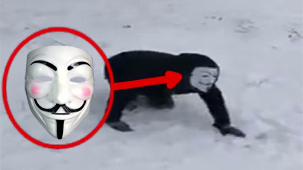 Первое фото со снюсоедом