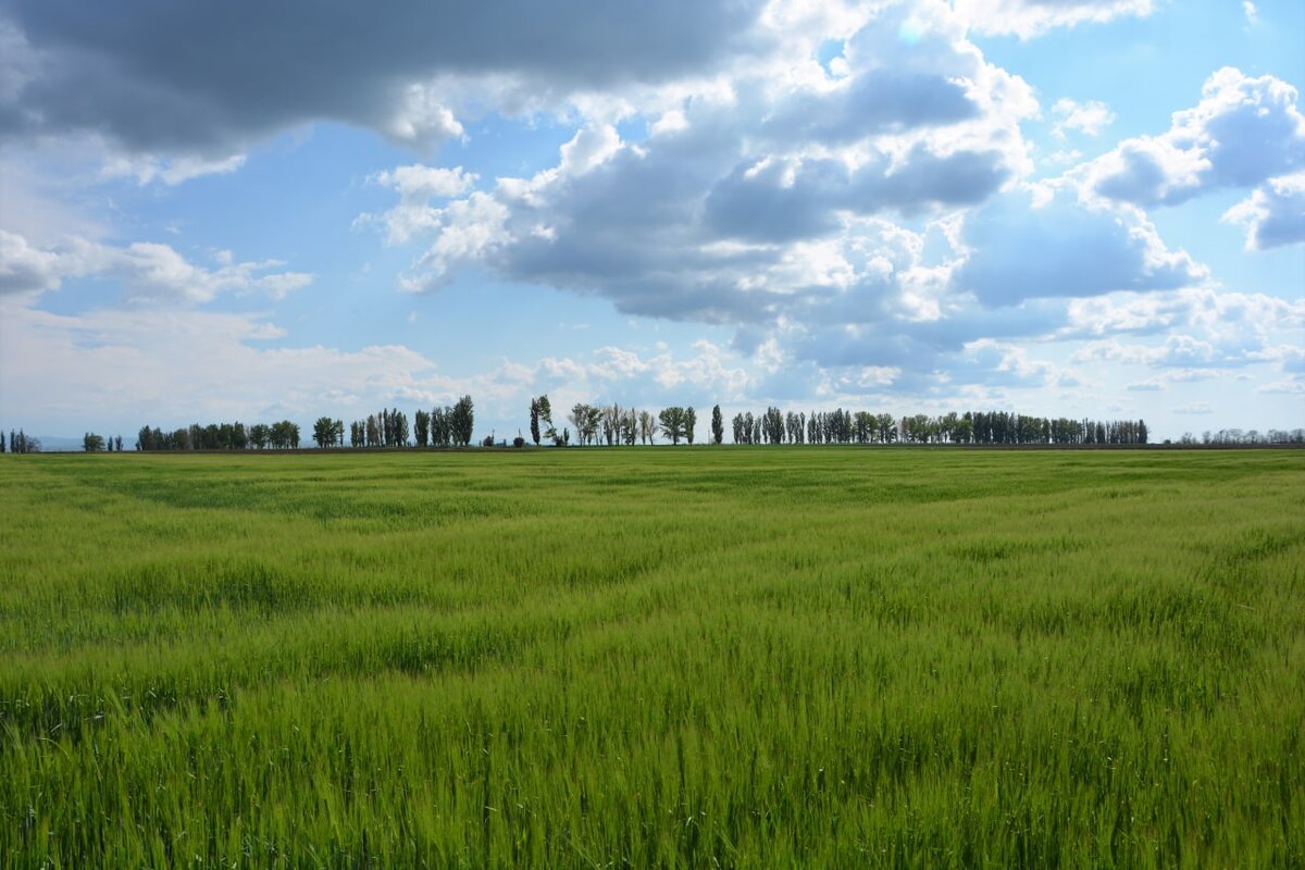 Фото: Гала Амарандо