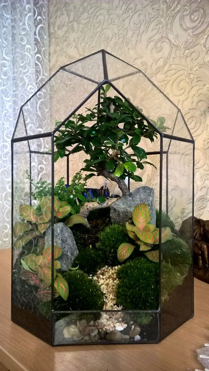Этот флорариум я попросила в подарок на День Рождения у своих друзей