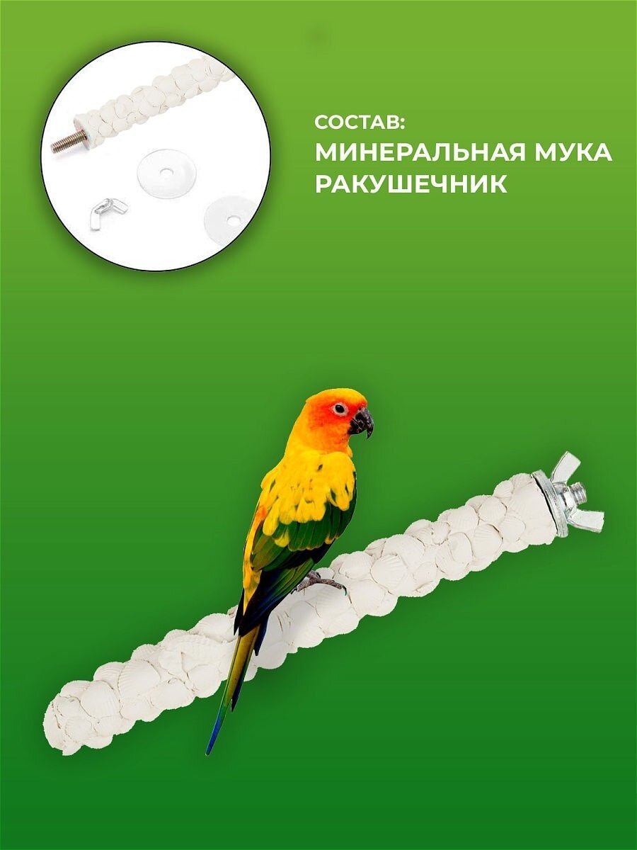 Как правильно обустроить клетку для волнистого попугая?