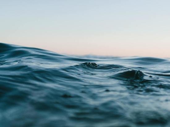     фото Matt Hardy on Unsplash