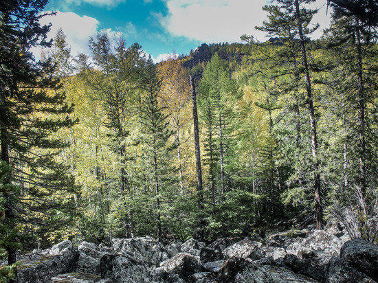   Василий Тараруев