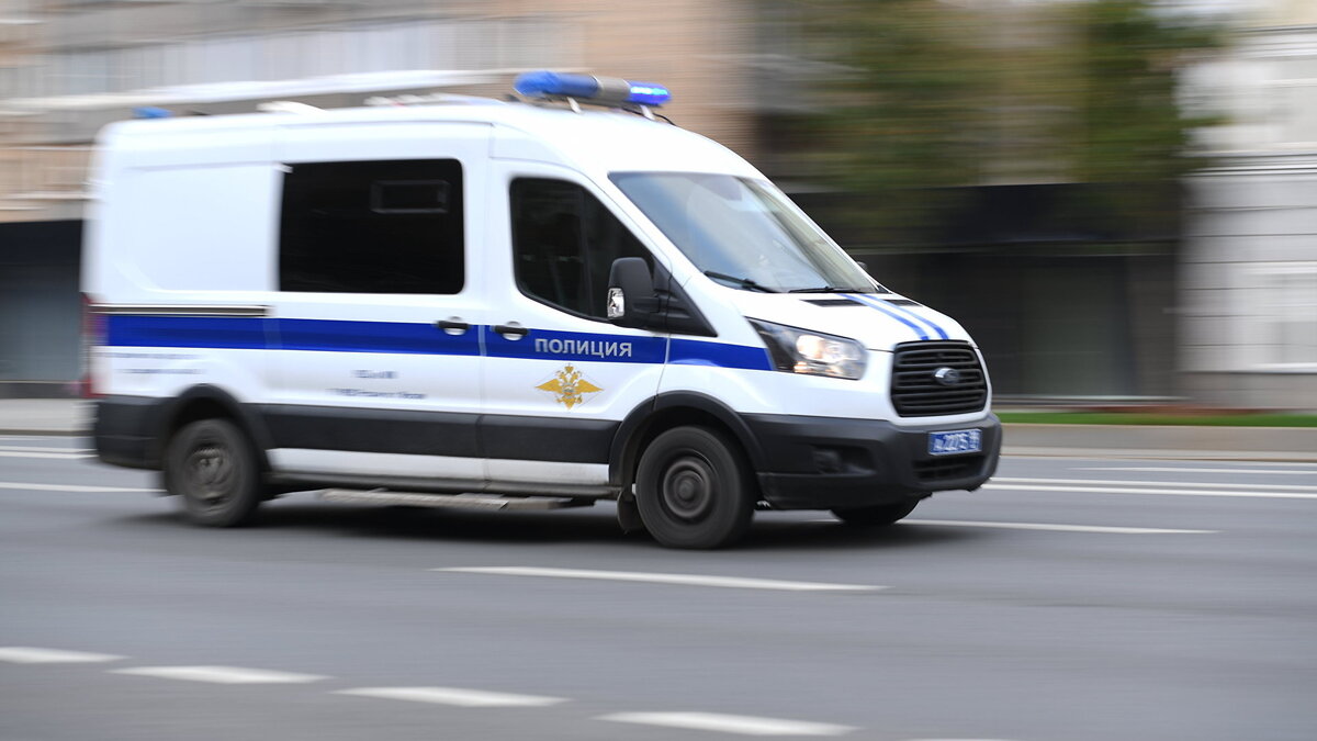    Полицейская машина© РИА Новости . Светлана Шевченко