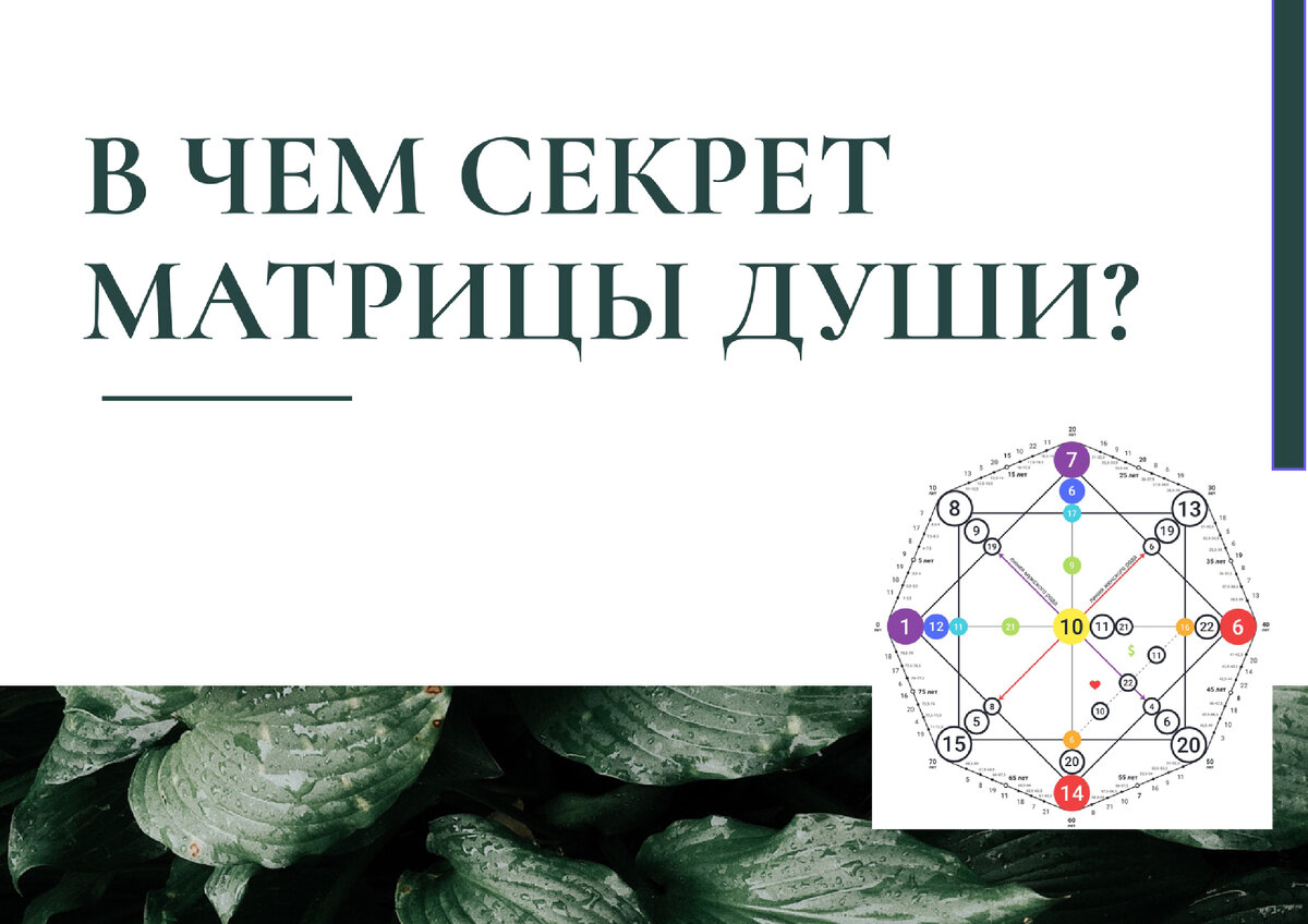 Кармический хвост 4 16 12 в матрице судьбы. Матрица души 9. Матрица судьбы знак. Зоны в матрице судьбы. Матрица души шаблон.