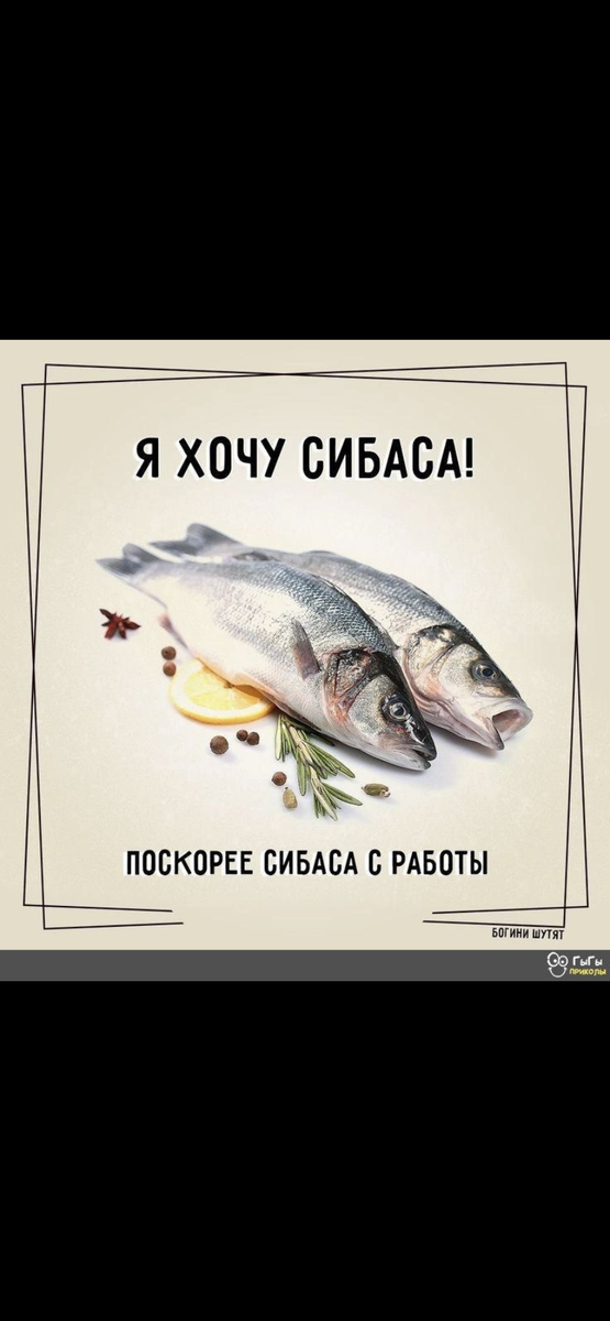 Когда твои товарищи на рыбалке а ты все еще на работе🤣🤣🤣