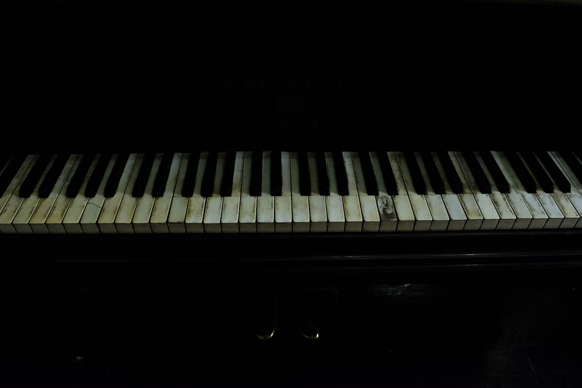  Charles C. Collingwood/ unsplash.com 