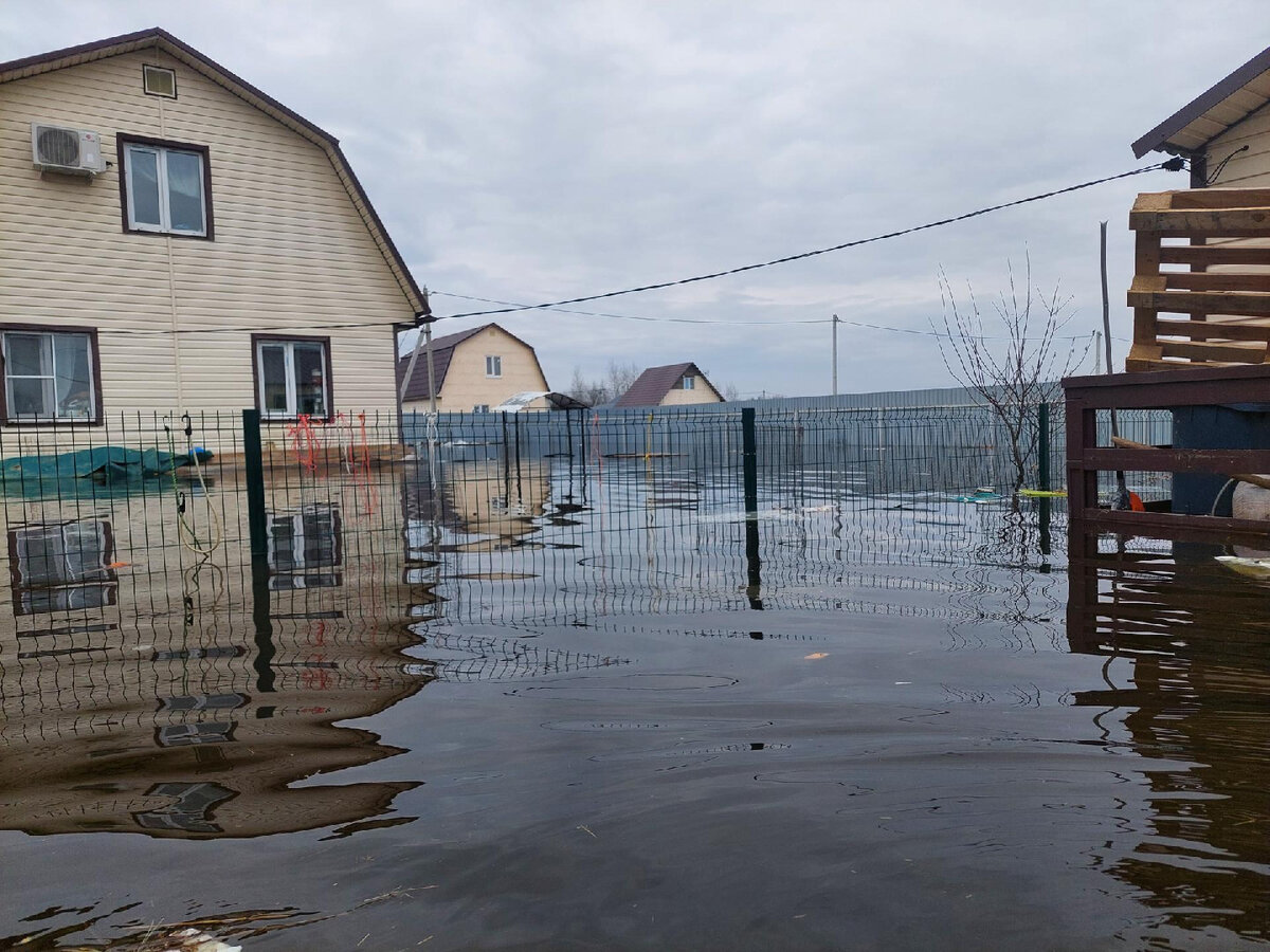   Фото: администрация городского округа Воскресенск