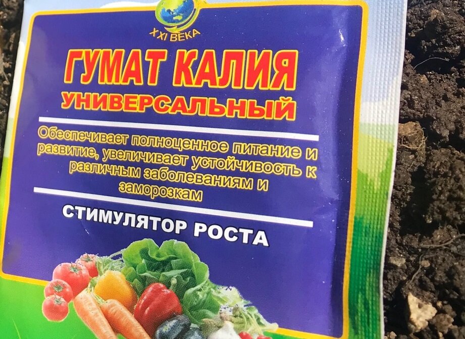 Можно ли подкормить лук гуматом калия Можно ли подкормить лук гуматом калия