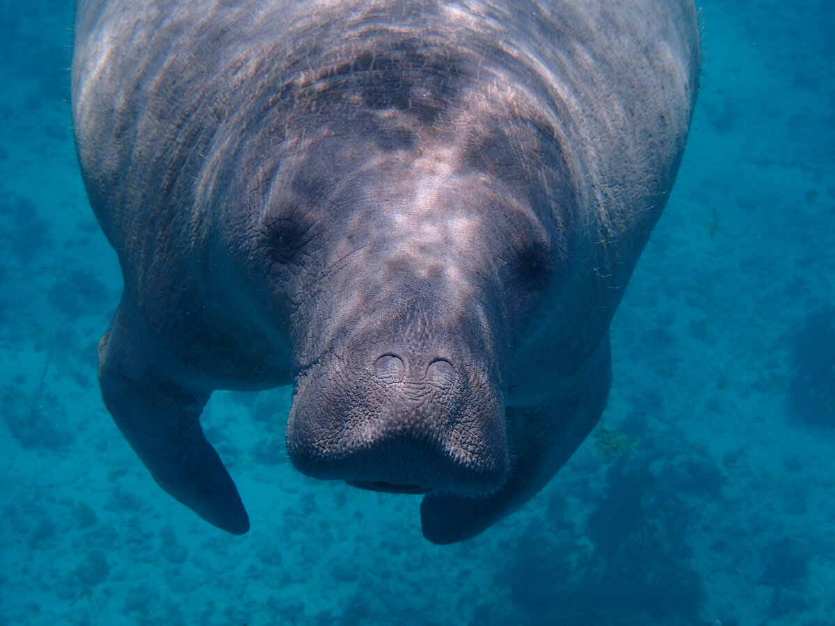 Фото автора Maegan Luckiesh с сайта unsplash