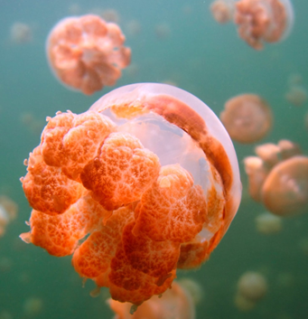 Photo by Sean Robertson under the Unsplash License
