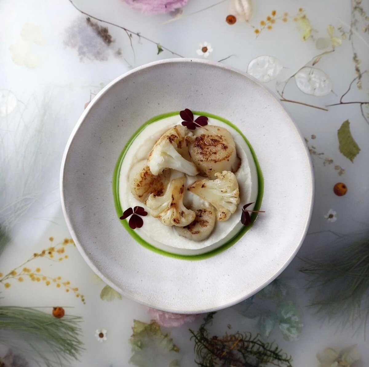 Морские гребешки с пюре из цветной капусты