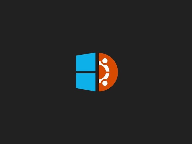    Производительность GeForce RTX 4090 сравнили в Windows и Linux