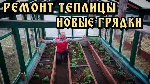 Томаты в теплице. Посадка томатов в теплицу. Ремонт теплицы. Грядки в теплице своими руками