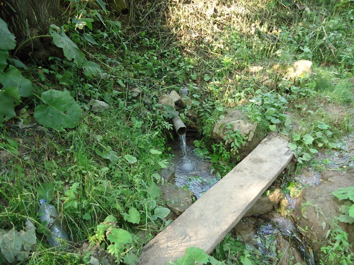 как найти родник. раскопках родника. родник в лесу. как найти родник. дикий родник.