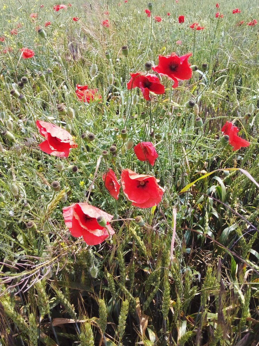 По дороге на юг!