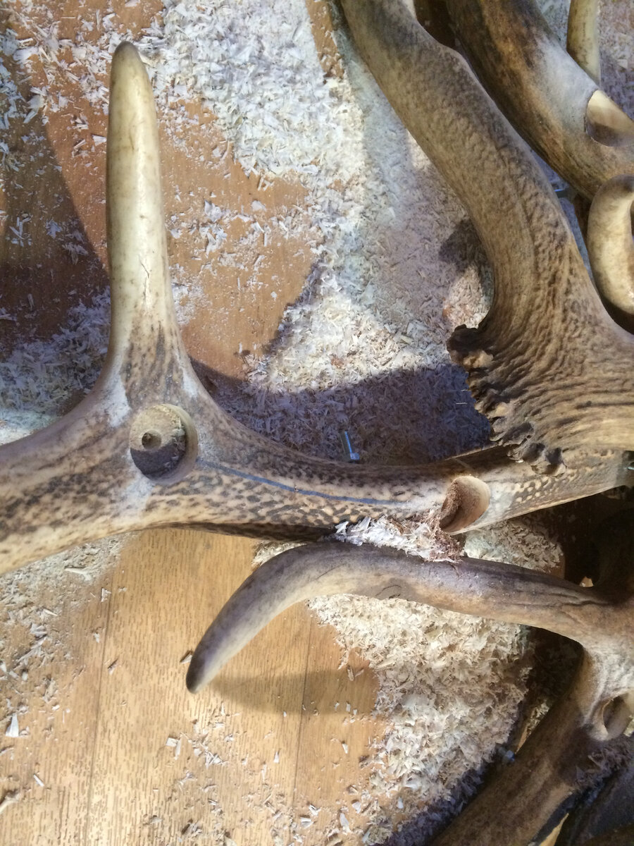 12 посадочных мест. 