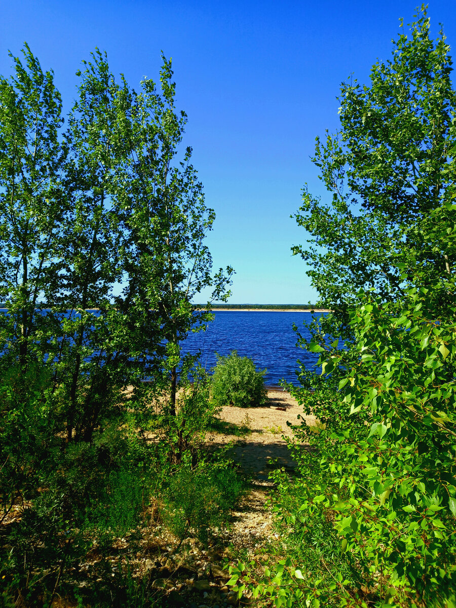 На родном берегу.