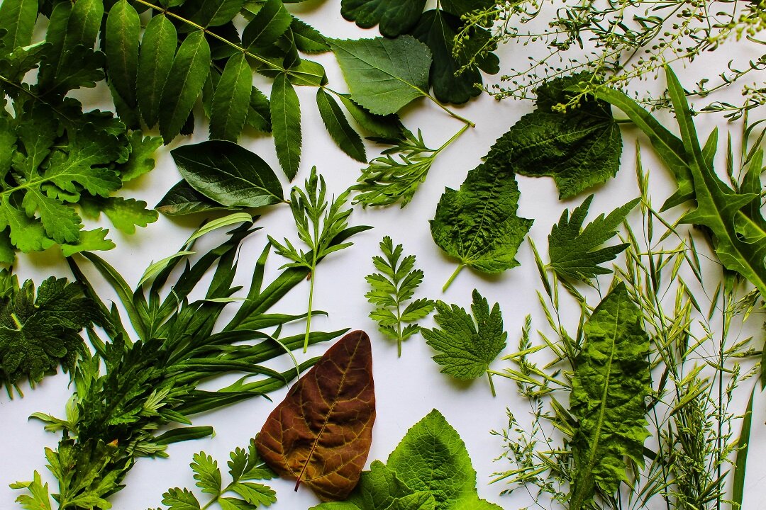 запечатлеть лето