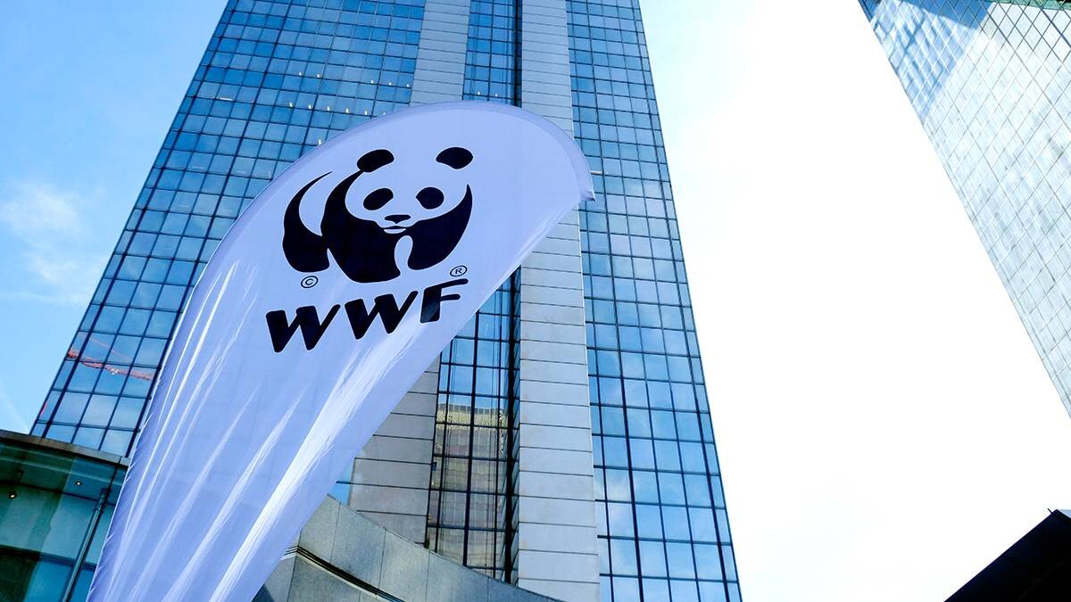    Фото: Shutterstock