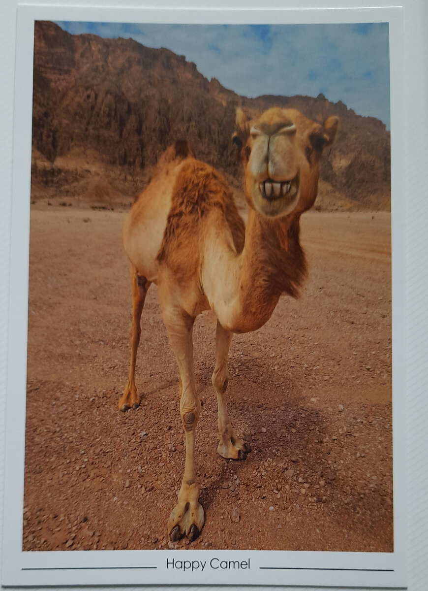 Ну правда же он красавчик?!))))