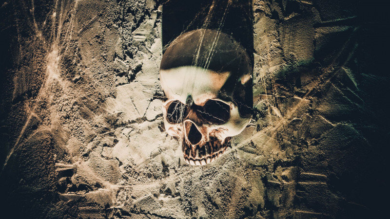     Череп. Анна Зайкова