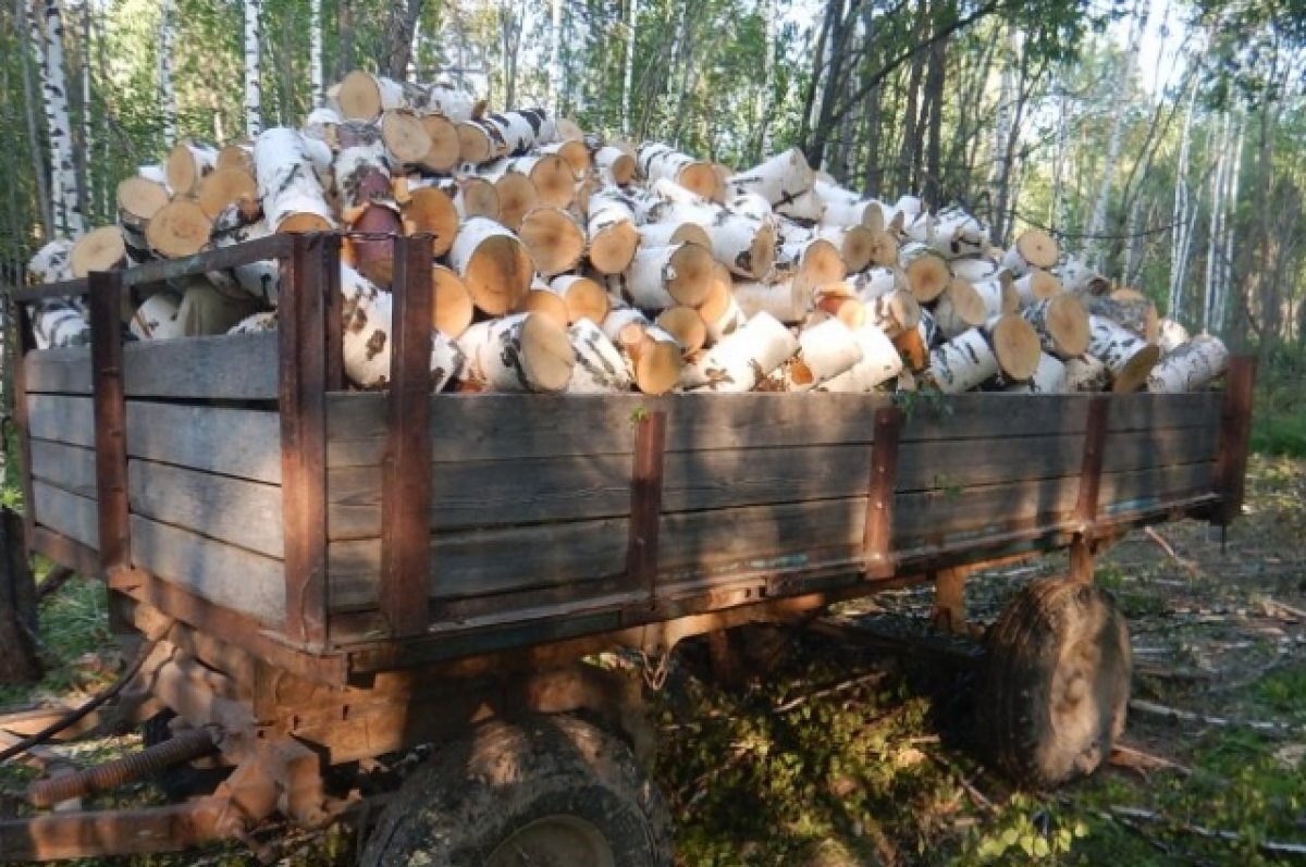    В Томском районе задержан подозреваемый в незаконной рубке берез