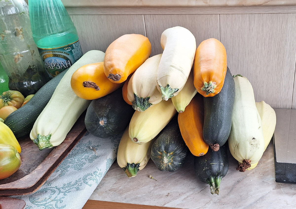 Желтый Ясмин, белый Кавили и темно-зеленый Черный красавец составляют прекрасное трио.