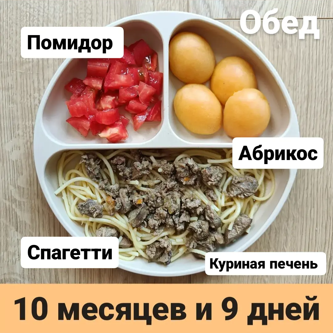 Прикорм. Тарелка 10 месяцев и 9 дней. Обед. | В поисках дома ❤️ Вьетнам  🇻🇳 Нячанг | Дзен