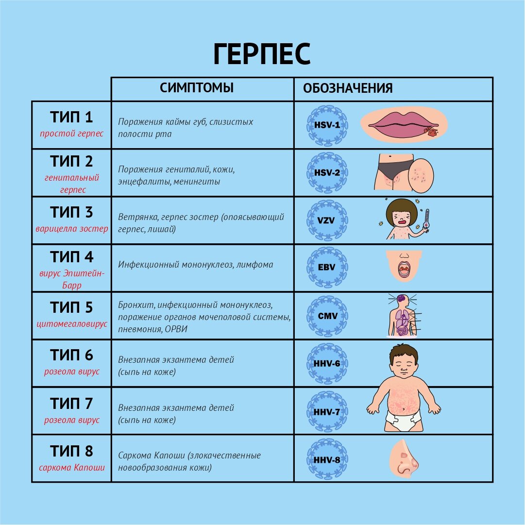 Памятка врачам при лечении герпеса