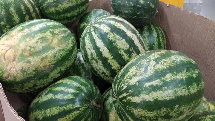 ФОТО: MAKSIM KONSTANTINOV/GLOBALLOOKPRESS