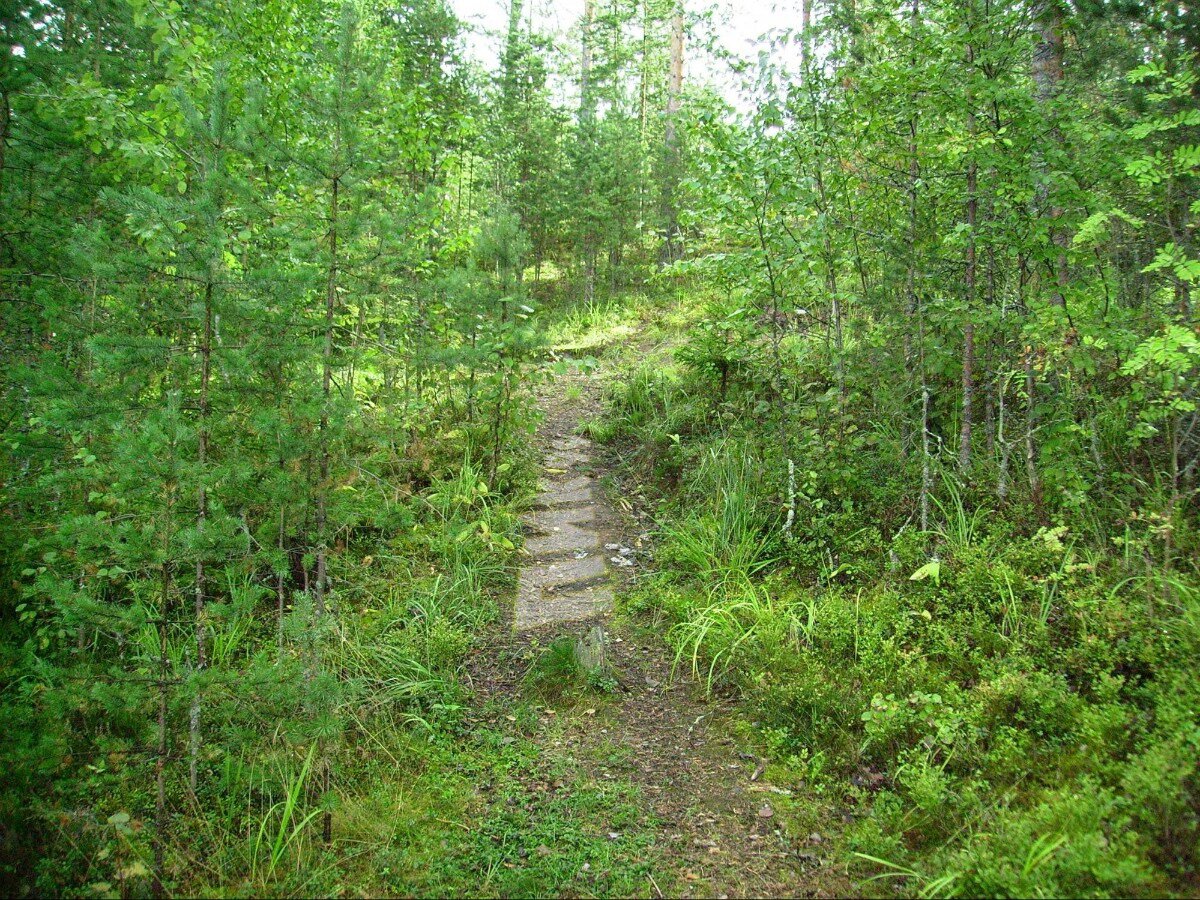 Место, где спрятан рюкзак, можно сфотографировать