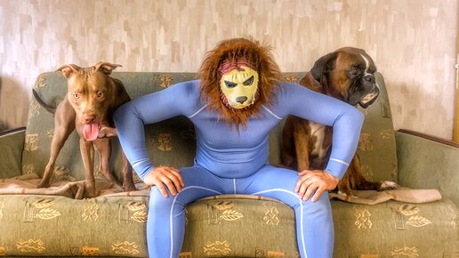 Переоделся в чупакабру и хотел напугать собак. Пранк | Питбуль Джина | Дзен