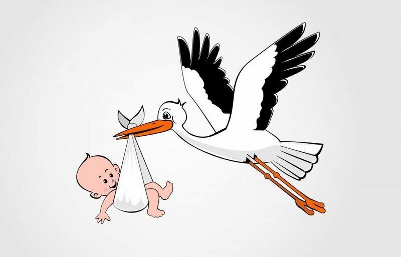 Иллюстрация из сети 