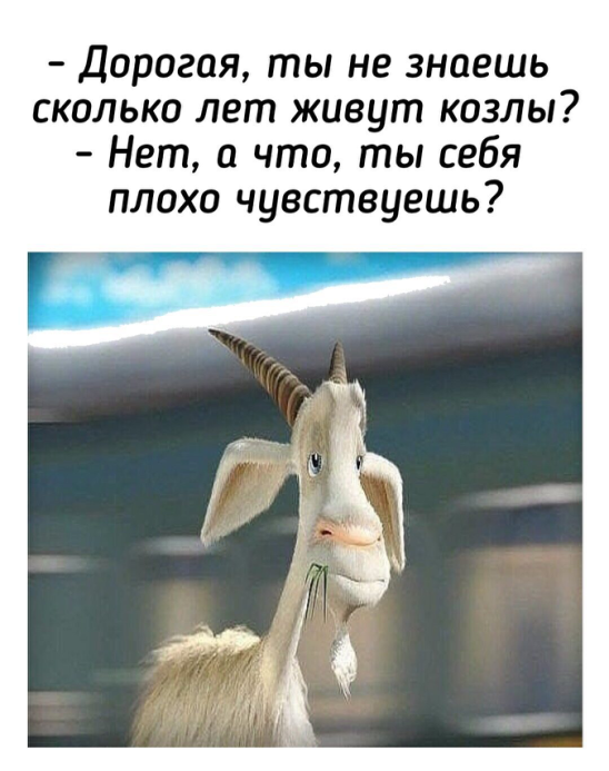 Фото из интернета.